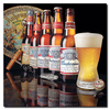 Trademark Fine Art Budweiser - 5 Generations of Bottles - Canvas 18 x 18 Inch, 18x18 AB390-C1818GG